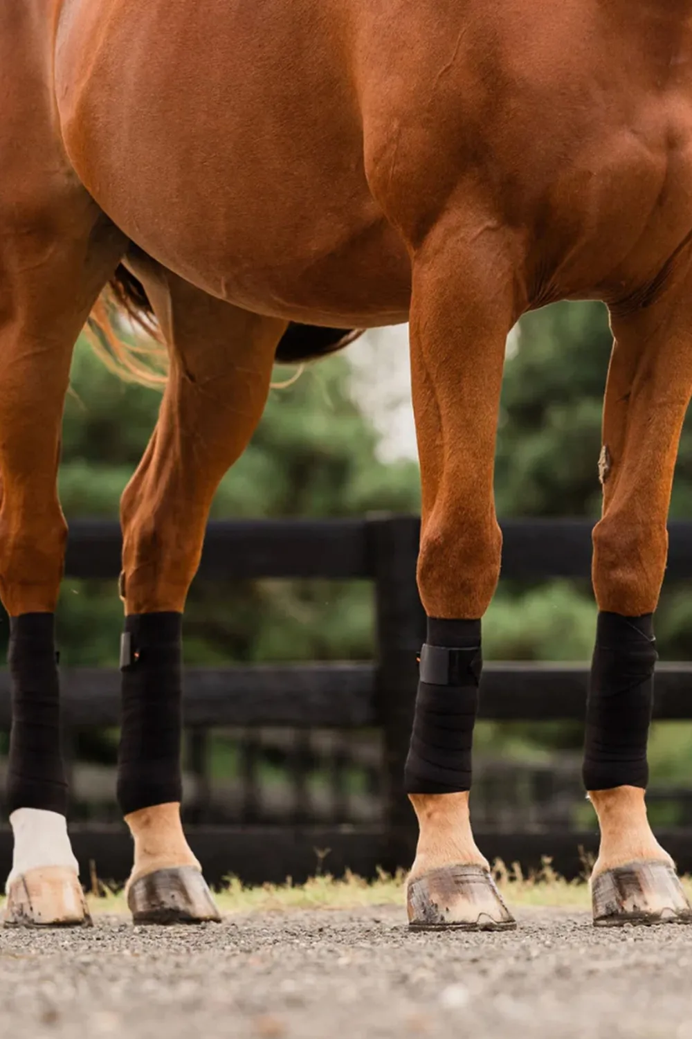 Incrediwear Incrediwear Equine|Benskydd & Benlindor-Cirkulation Benlindor Ponny 9x185 cm Svart