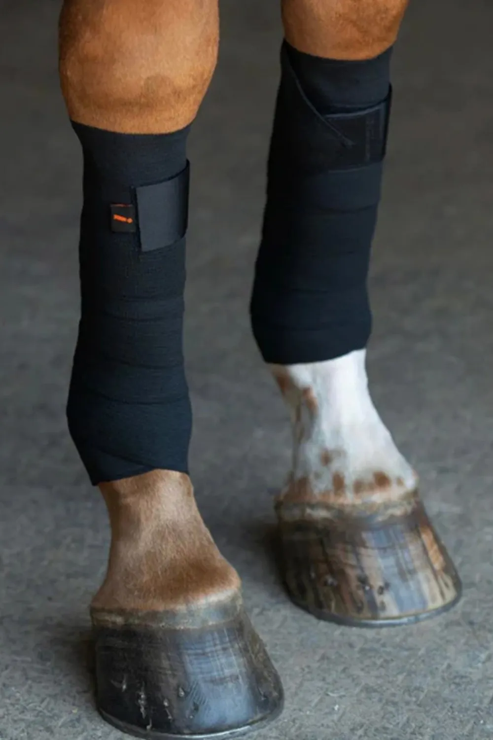 Incrediwear Incrediwear Equine|Benskydd & Benlindor-Cirkulation Benlindor Ponny 9x185 cm Svart