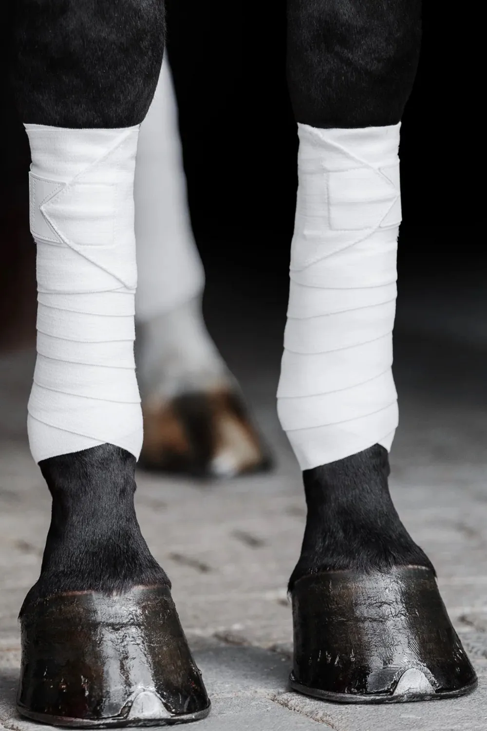 Incrediwear Incrediwear Equine|Benskydd & Benlindor-Cirkulation Benlindor 12,5x275 cm Vit
