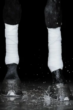 Incrediwear Incrediwear Equine|Benskydd & Benlindor-Cirkulation Benlindor 12,5x275 cm Vit