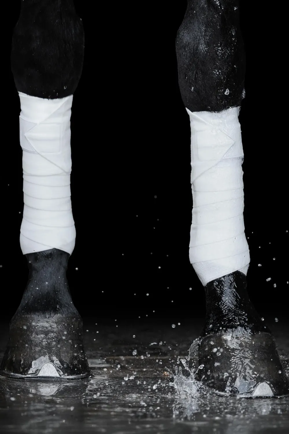 Incrediwear Incrediwear Equine|Benskydd & Benlindor-Cirkulation Benlindor 12,5x275 cm Vit