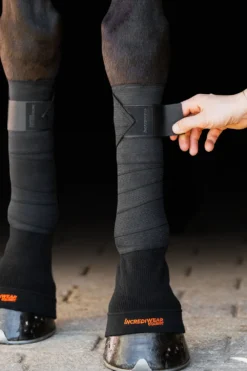 Incrediwear Incrediwear Equine|Benskydd & Benlindor-Cirkulations Benlindor