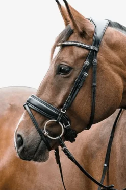 Horse Guard Träns & Pannband|Horse Guard-Classic Ergo Träns