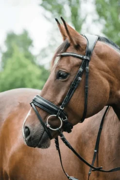 Horse Guard Träns & Pannband|Horse Guard-Classic Ergo Träns