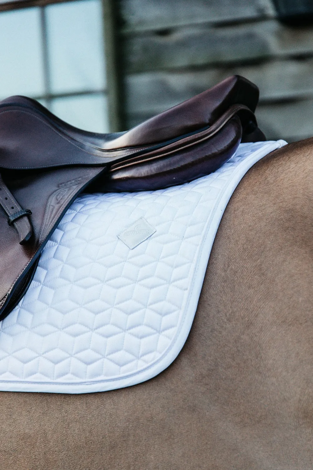 Kentucky Horsewear Kentucky Horsewear|Schabrak & Huvor-Classic Schabrak Vit