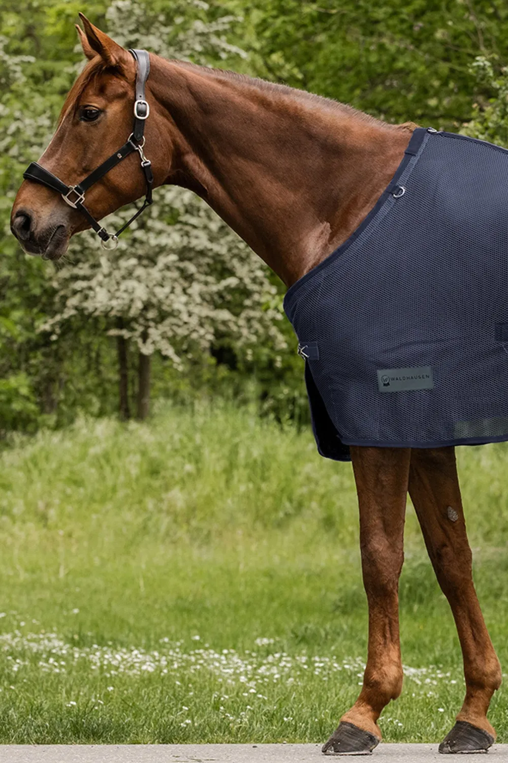 Waldhausen Flugskydd-COMFORT Flugtäcke med Magplatta Navy