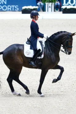 LeMieux Schabrak & Huvor|Lemieux-Competition Dressyrschabrak