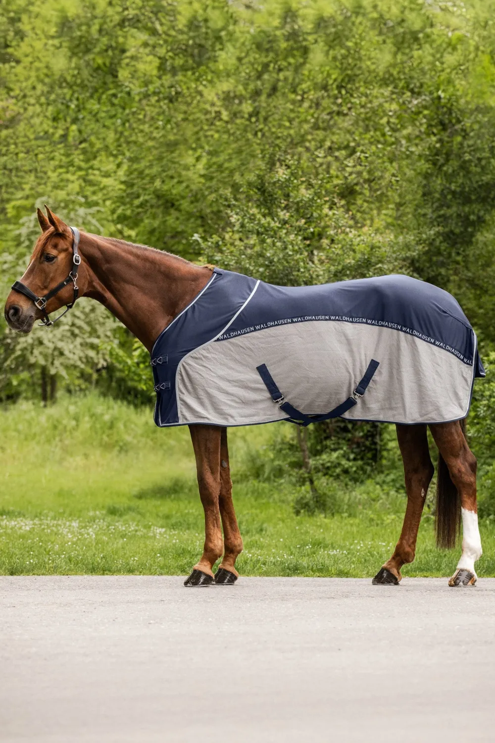 Waldhausen Hästtäcken & Flughuvor|Flugskydd-Cooler Flugtäcke Navy/Grey