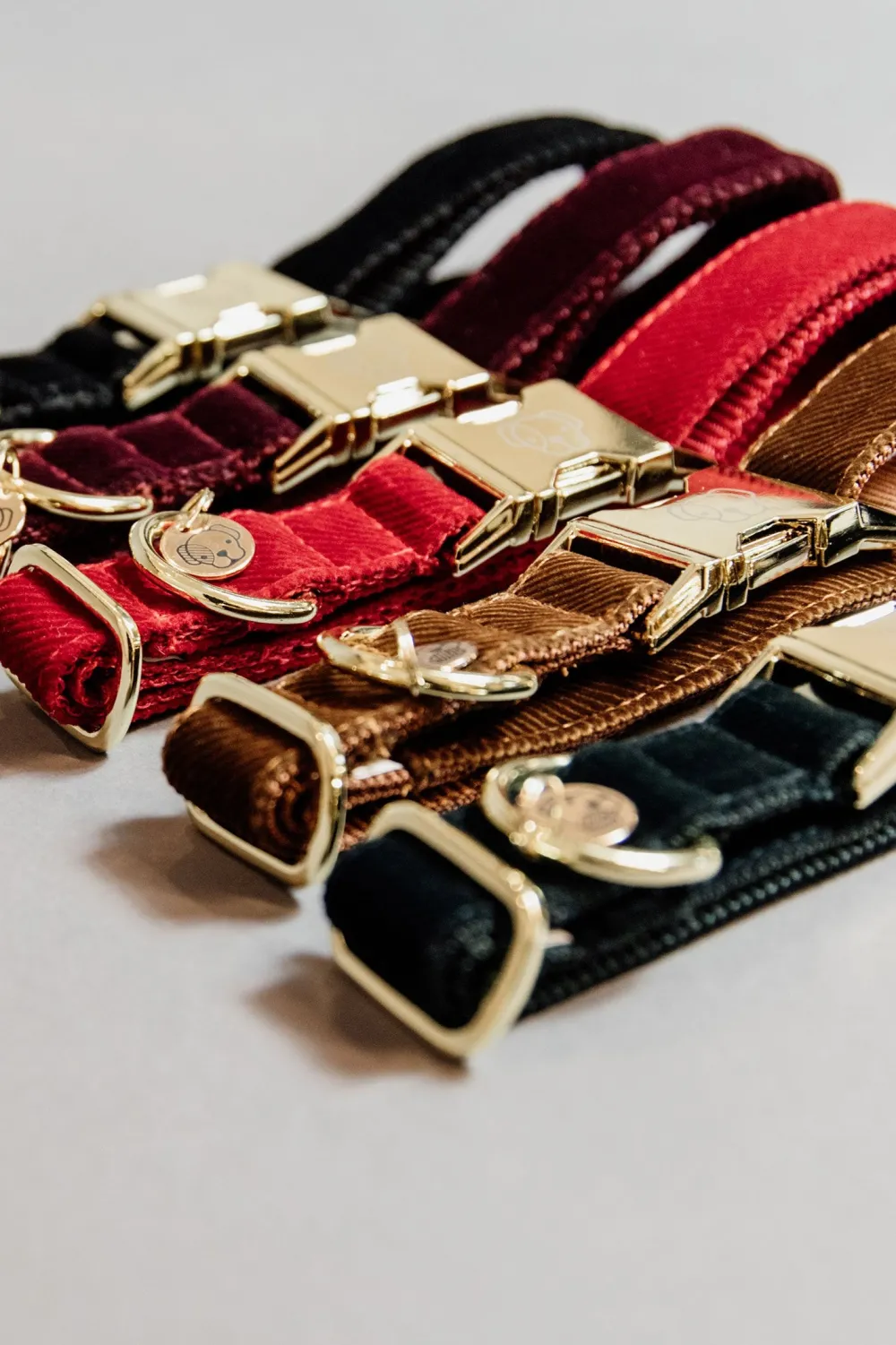 Kentucky Dogwear Kentucky Dogwear-Corduroy Hundhalsband