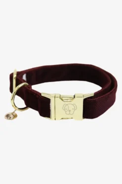 Kentucky Dogwear Kentucky Dogwear-Corduroy Hundhalsband