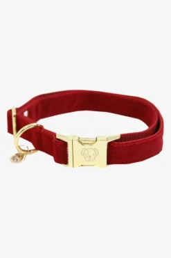 Kentucky Dogwear Kentucky Dogwear-Corduroy Hundhalsband