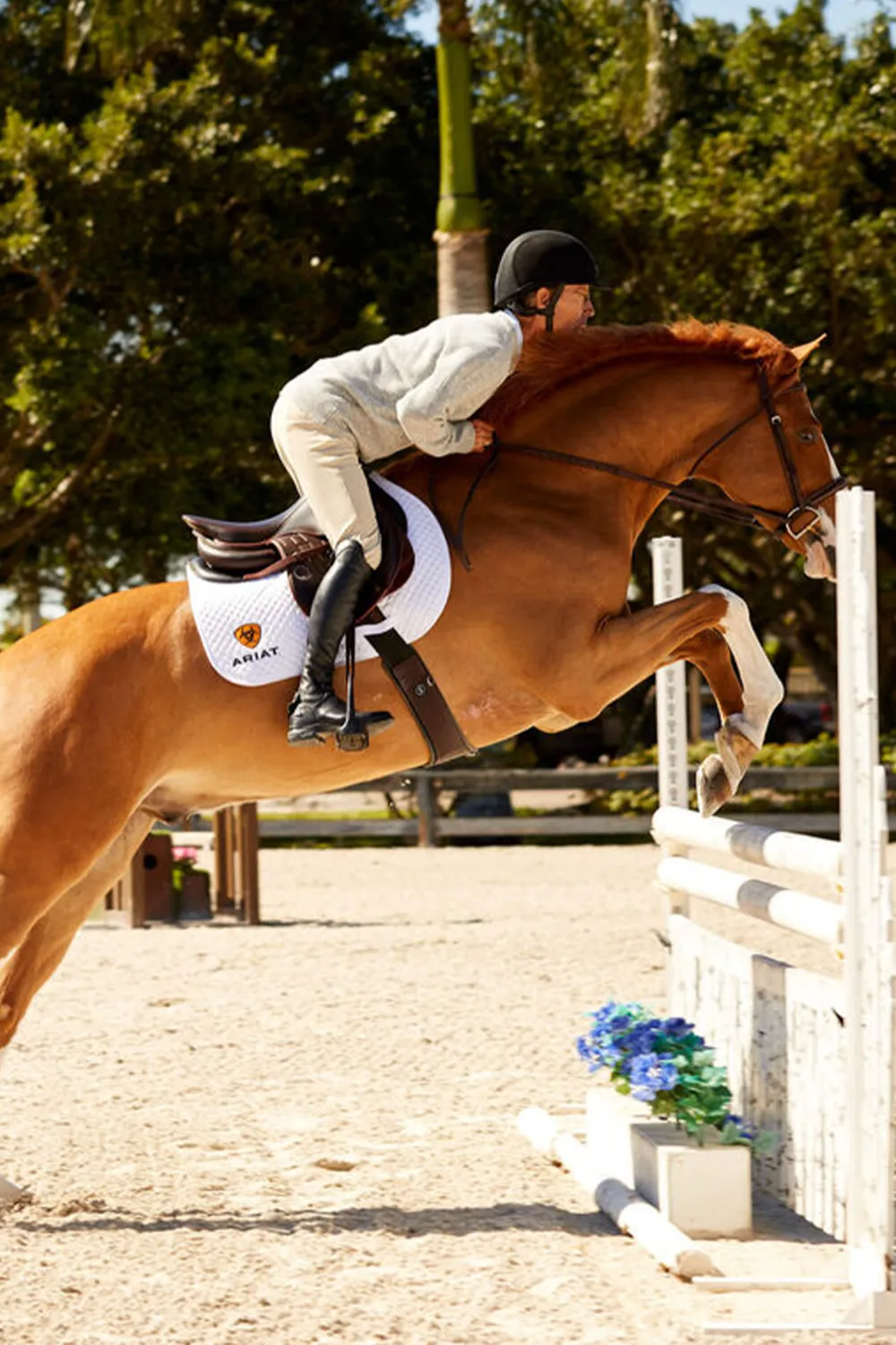 Ariat Ariat-Devon Herr Ridstövlar R/M Svart