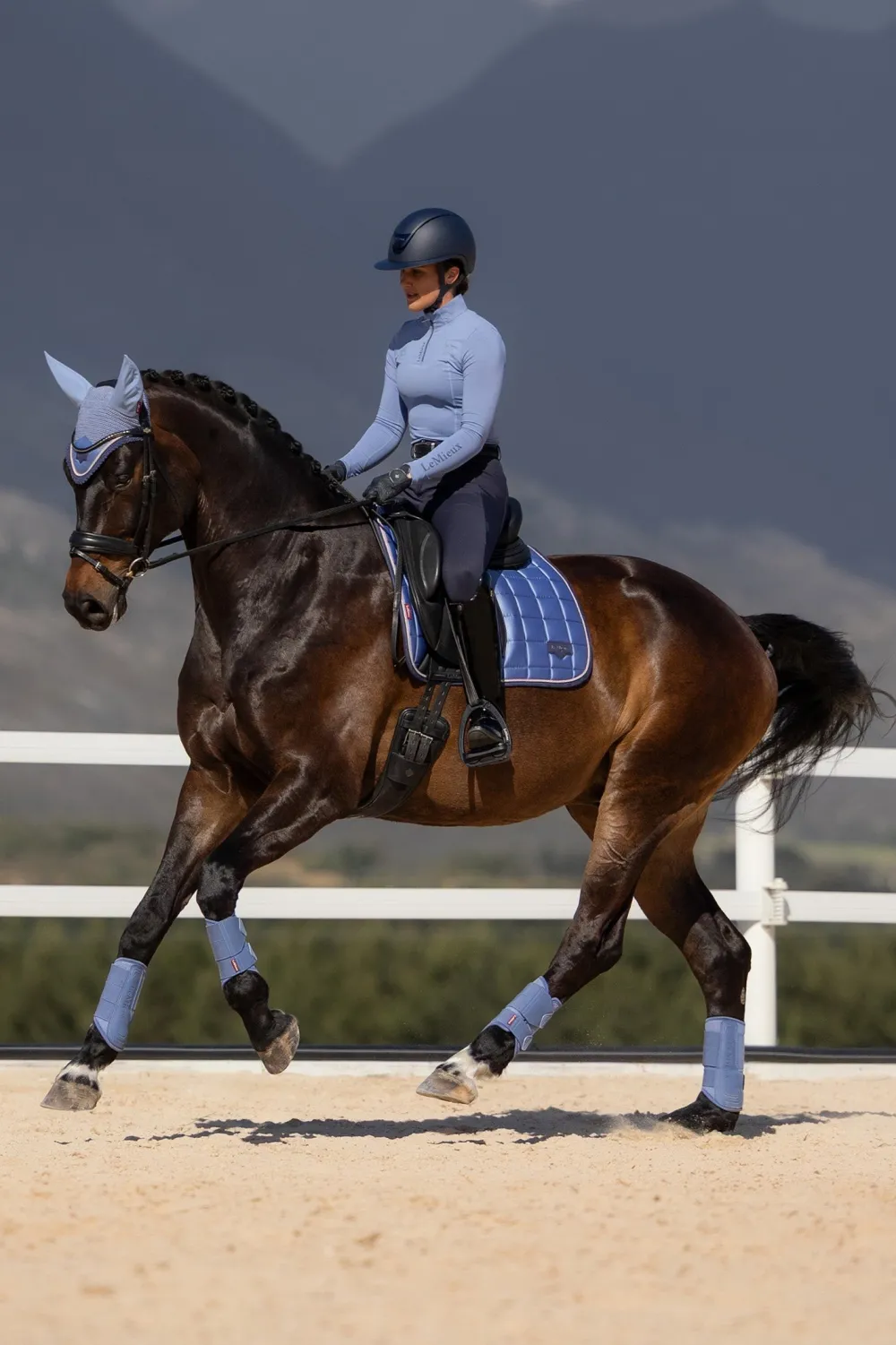 LeMieux Schabrak & Huvor|Lemieux-Dressyrschabrak oire Cassic Powder Bue