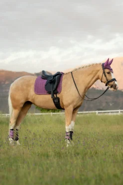 LeMieux Schabrak & Huvor|Lemieux-Dressyrschabrak Sammet Maow