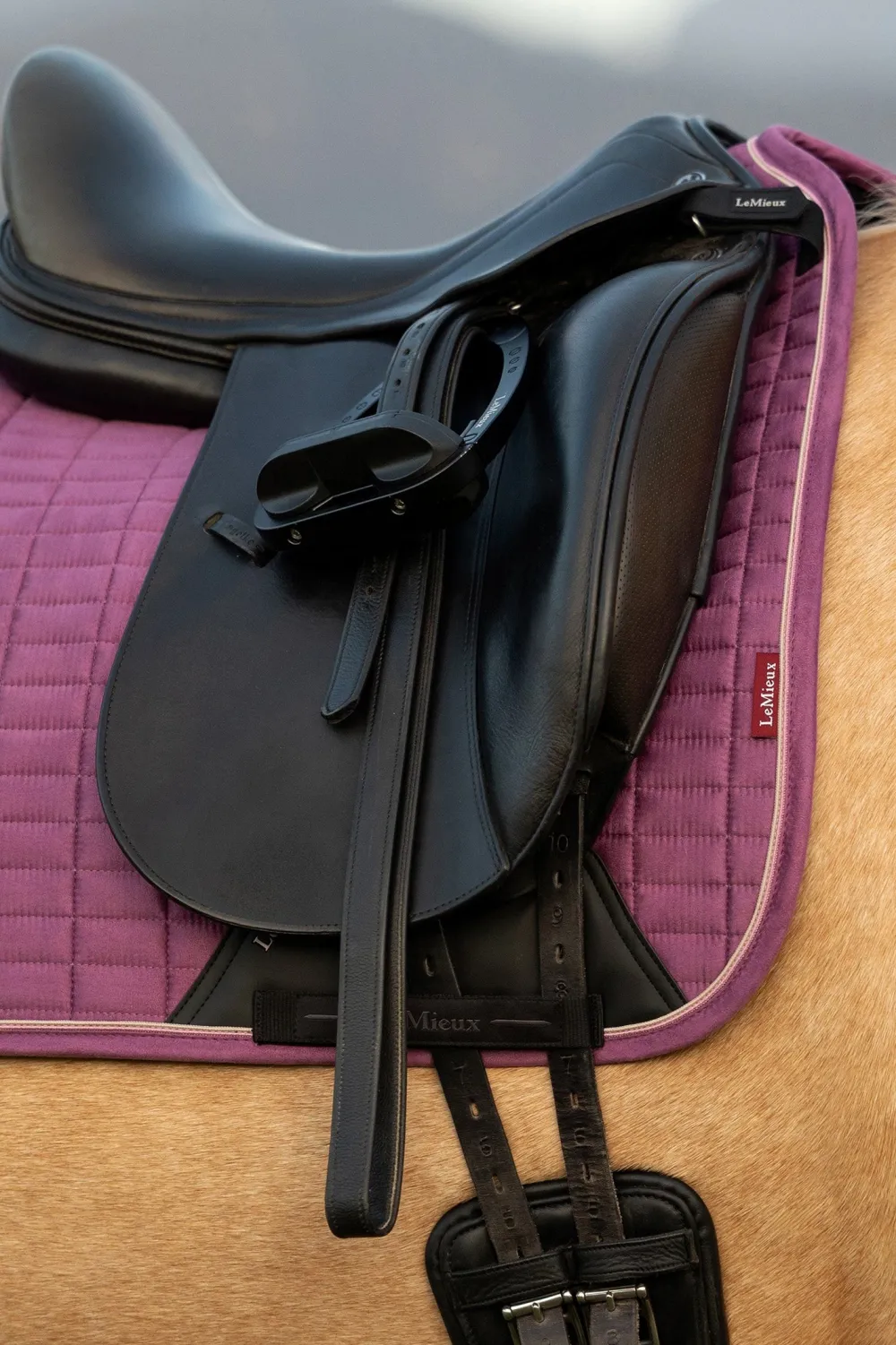 LeMieux Schabrak & Huvor|Lemieux-Dressyrschabrak Sammet Maow