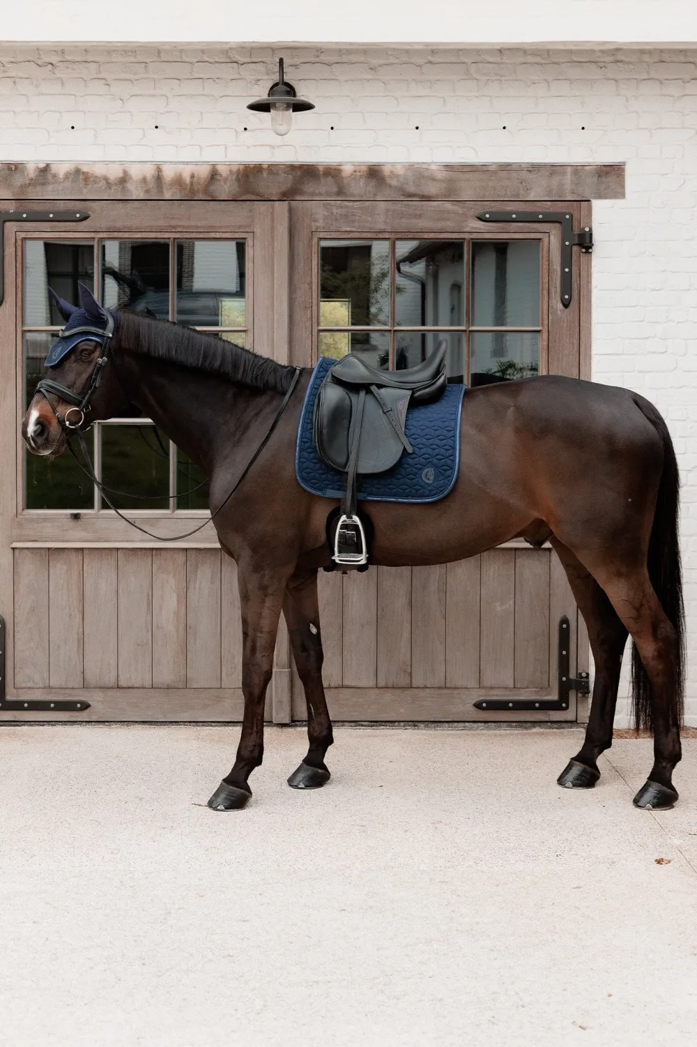 Kentucky Horsewear Kentucky Horsewear|Schabrak & Huvor-Dressyrschabrak Sparking Navy