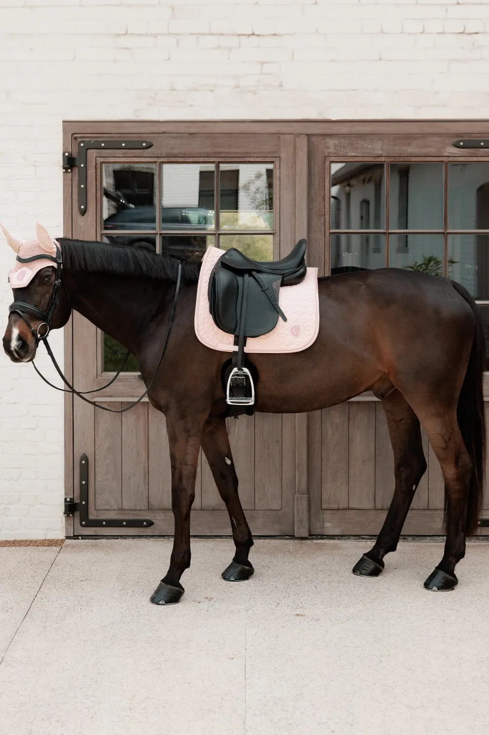 Kentucky Horsewear Kentucky Horsewear|Schabrak & Huvor-Dressyrschabrak Sparkling Old Rose