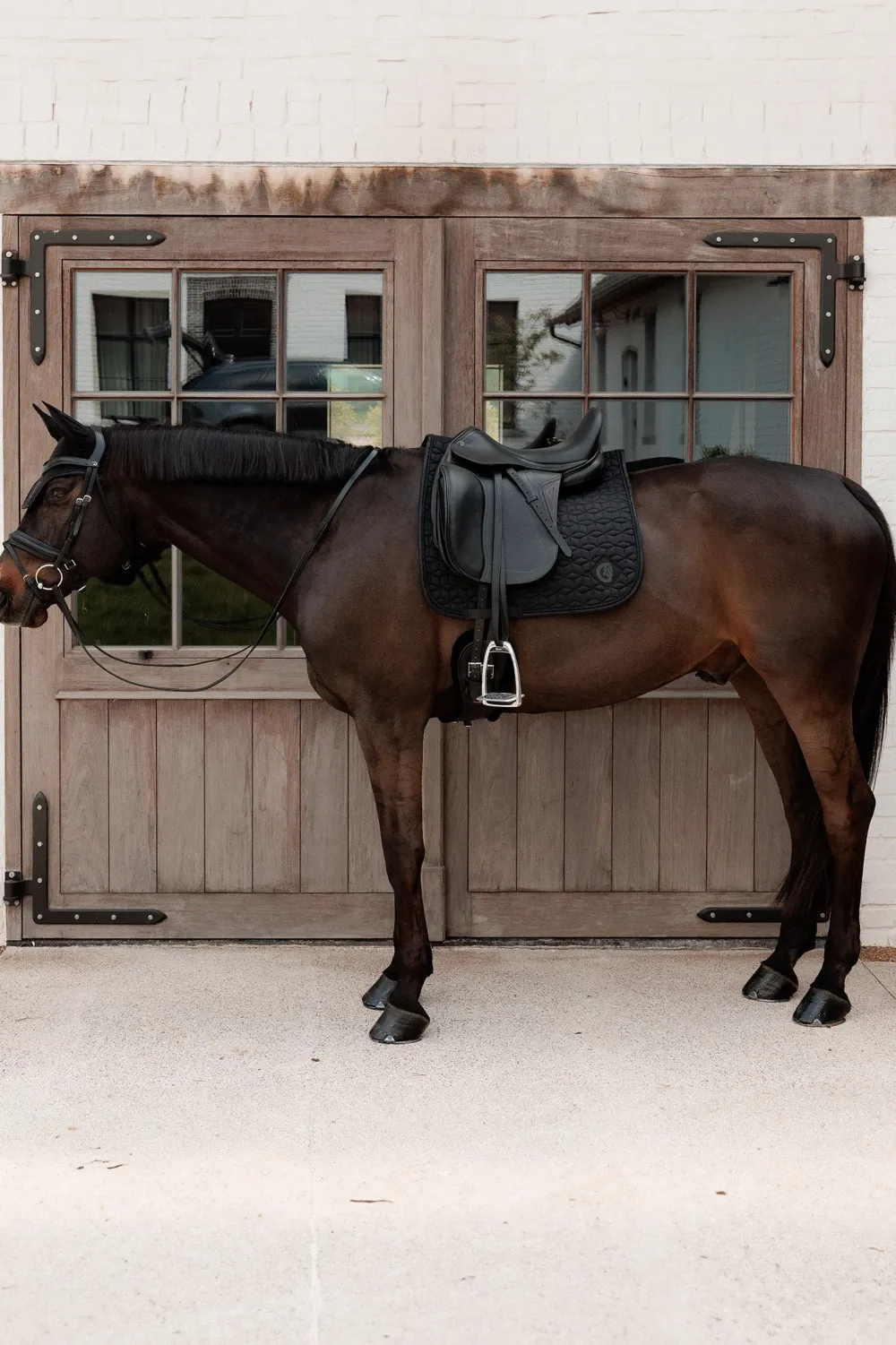 Kentucky Horsewear Kentucky Horsewear|Schabrak & Huvor-Dressyrschabrak Sparkling Svart