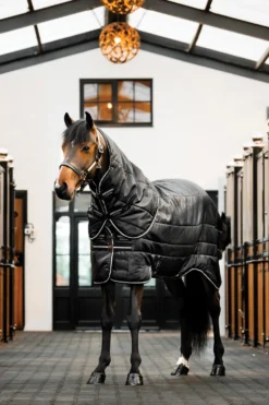 Horseware Horseware-Easy-Layer Stable Plus 200g