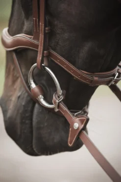 Lippo Lippo|Tyglar & Hjälptyglar-Eccelente Gummityglar med Stopp Buckle Loop Cognac