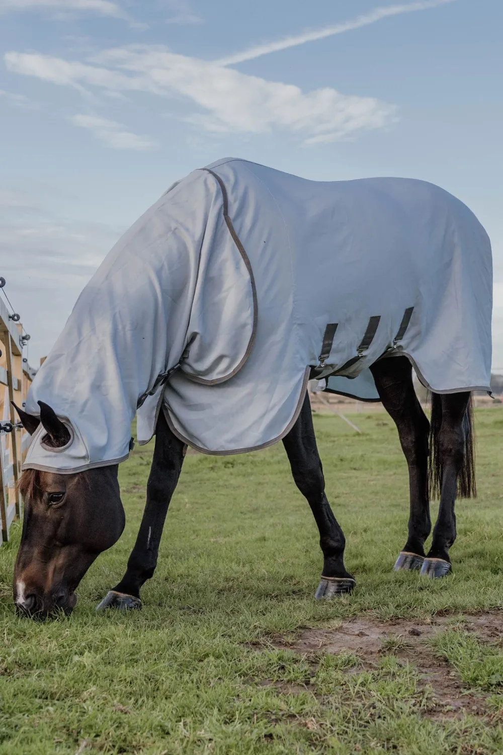 Kentucky Horsewear Kentucky Horsewear|Flugskydd-Eczema Eksemtäcke
