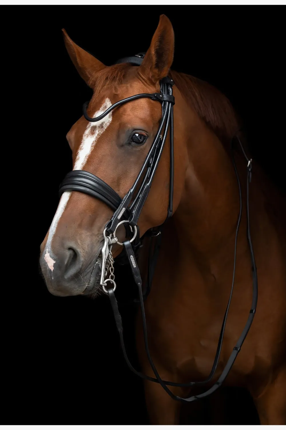 Utzon Equestrian Utzon-Edinburgh Kandar