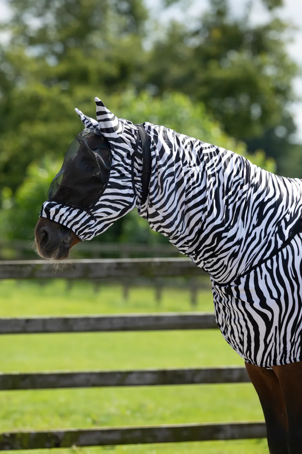 QHP Qhp|Hästtäcken & Flughuvor-Ekehuva ed Öron Zebra