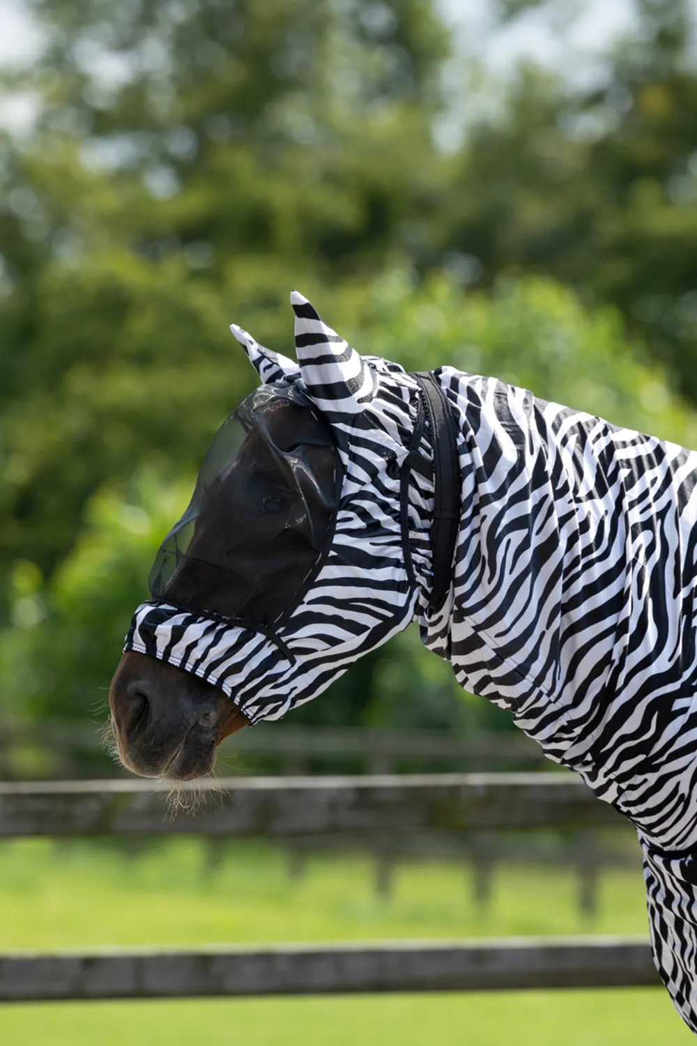 QHP Qhp|Hästtäcken & Flughuvor-Ekehuva ed Öron Zebra