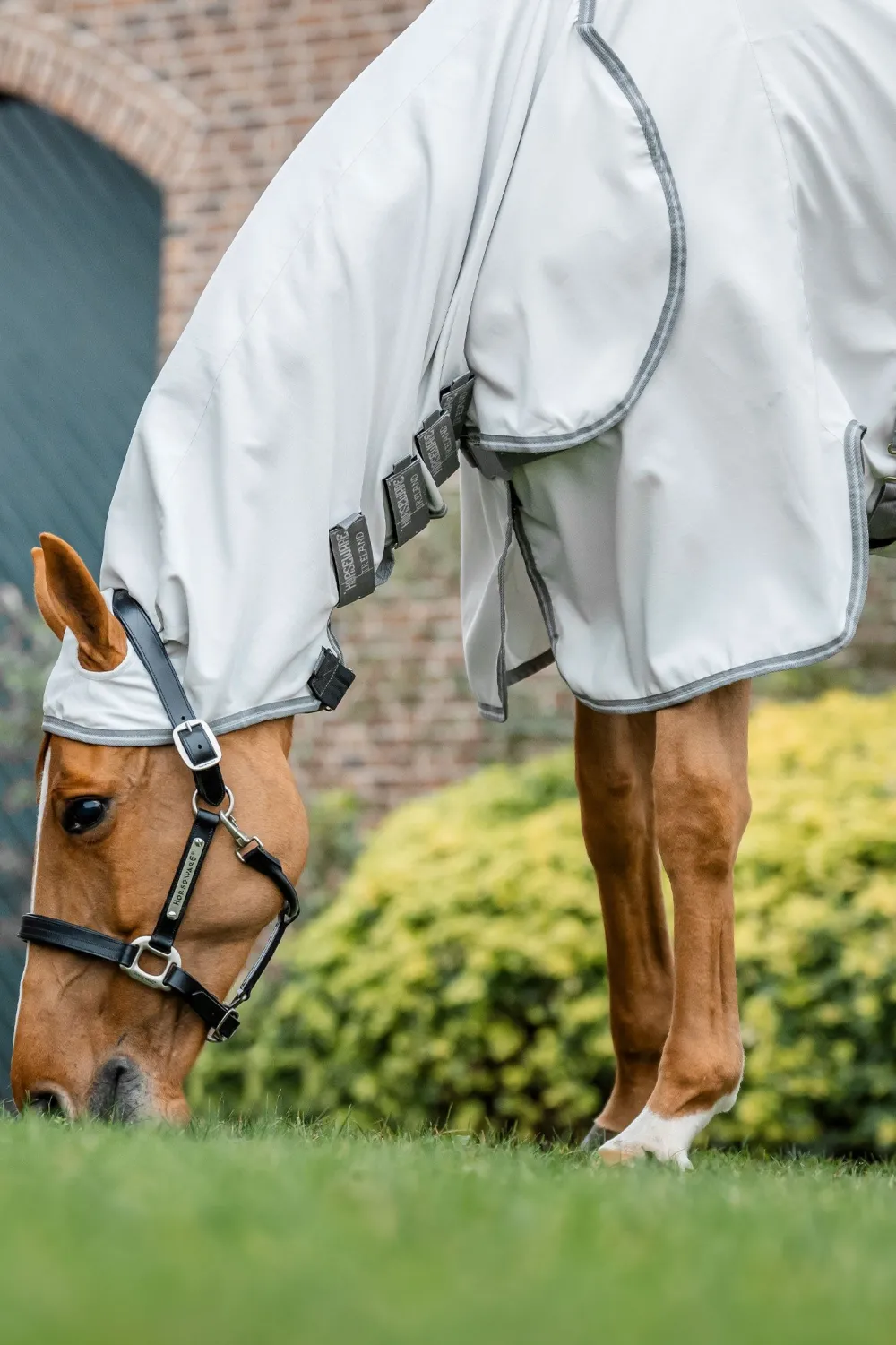 Horseware Horseware|Flugskydd-Eksemtäcke Amigo Ripstop Hoody Silver
