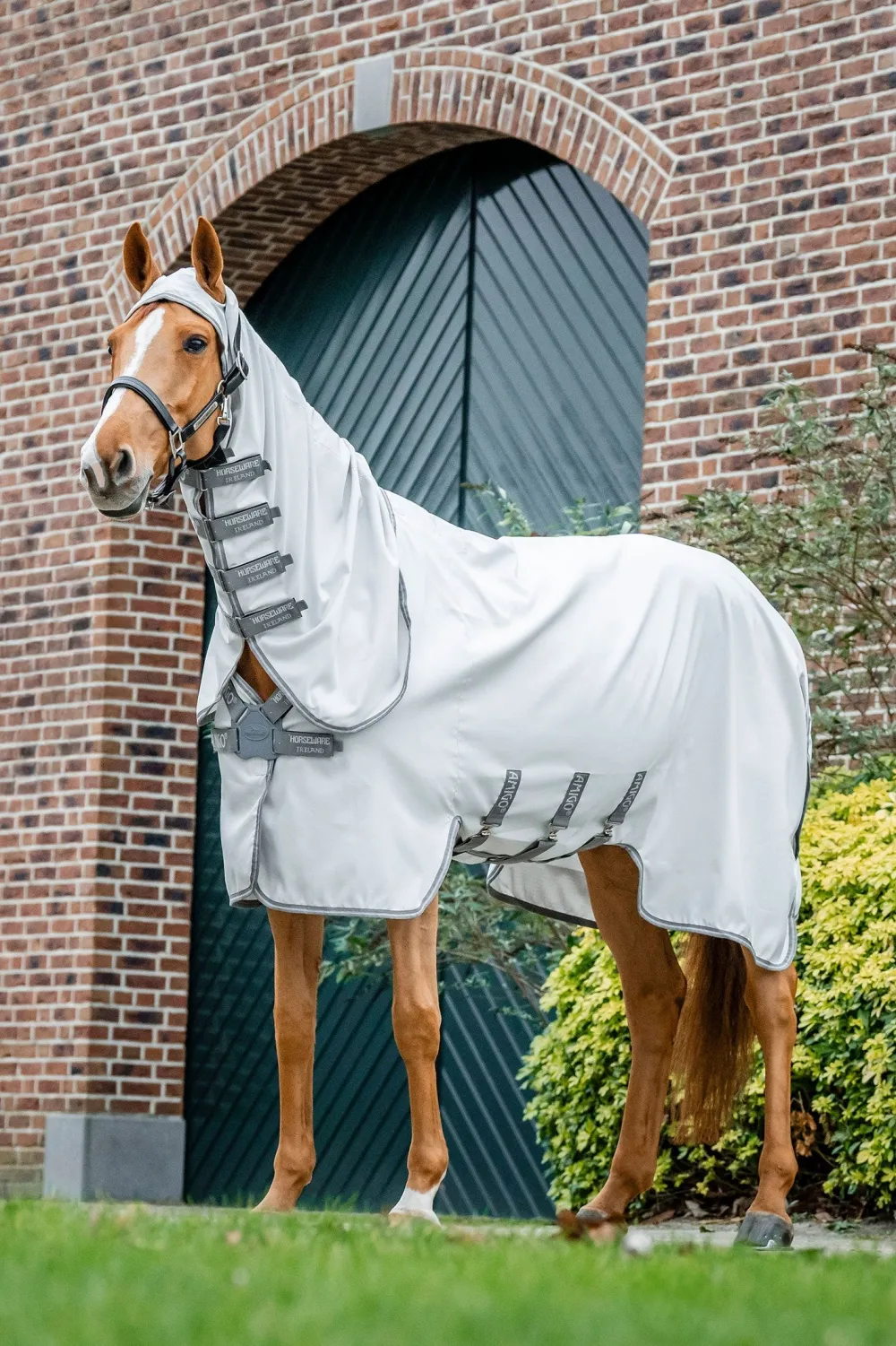Horseware Horseware|Flugskydd-Eksemtäcke Amigo Ripstop Hoody Silver