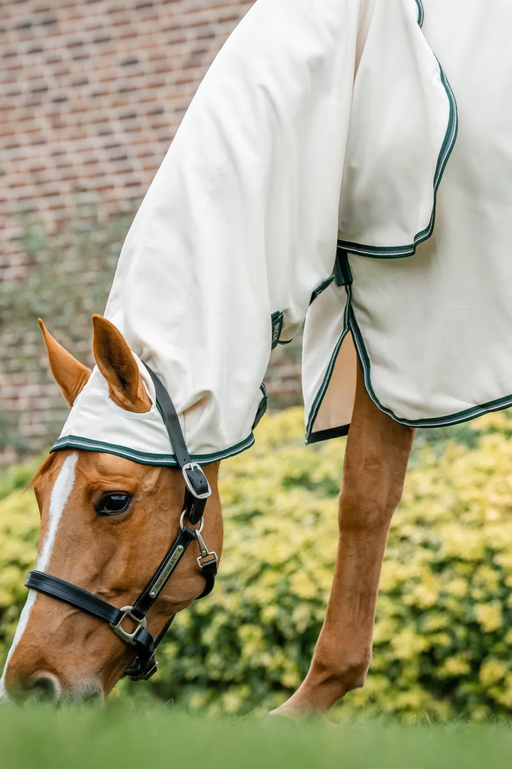 Horseware Horseware|Flugskydd-Eksemtäcke Rambo Silver/Grön