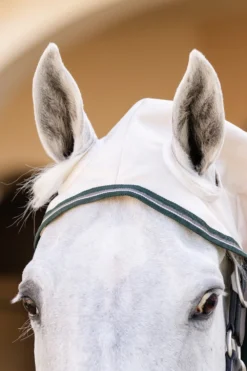 Horseware Horseware|Flugskydd-Eksemtäcke Rambo XL Silver/Grön