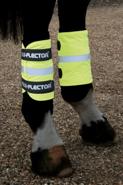 Shires Shires|Benskydd & Benlindor-Equi-Flector Benreflexer Neon