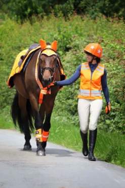 Shires Shires|Benskydd & Benlindor-Equi-Flector Benreflexer Orange