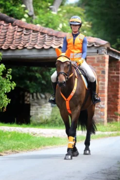 Shires Shires|Benskydd & Benlindor-Equi-Flector Benreflexer Orange