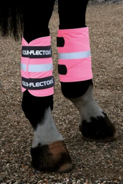 Shires Shires|Benskydd & Benlindor-Equi-Flector Benreflexer Rosa