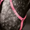 Shires Shires-Equi-Flector Förbygel Reflex Rosa
