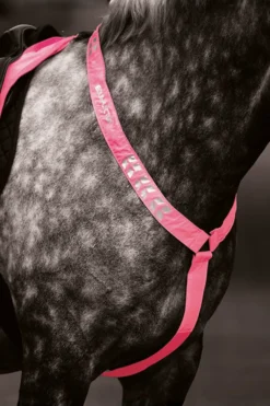 Shires Shires-Equi-Flector Förbygel Reflex Rosa