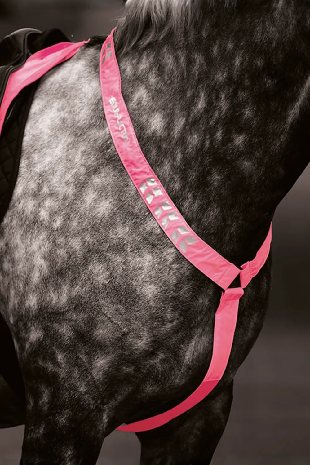 Shires Shires-Equi-Flector Förbygel Reflex Rosa