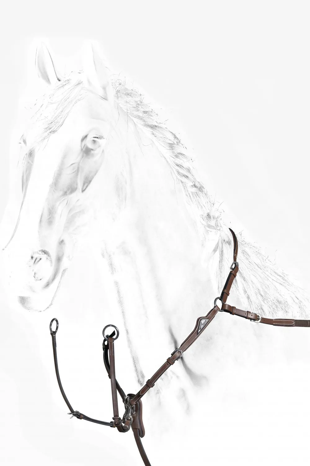 Equiline Träns & Pannband|Equiline-- Anatomiskt Set