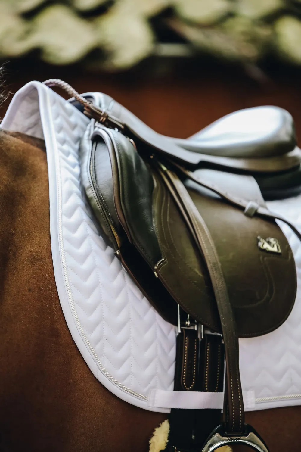 Kentucky Horsewear Kentucky Horsewear|Schabrak & Huvor-Fiskben Schabrak Vit