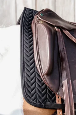 Kentucky Horsewear Schabrak & Huvor-Fiskben Tävlingsschabrak Svart