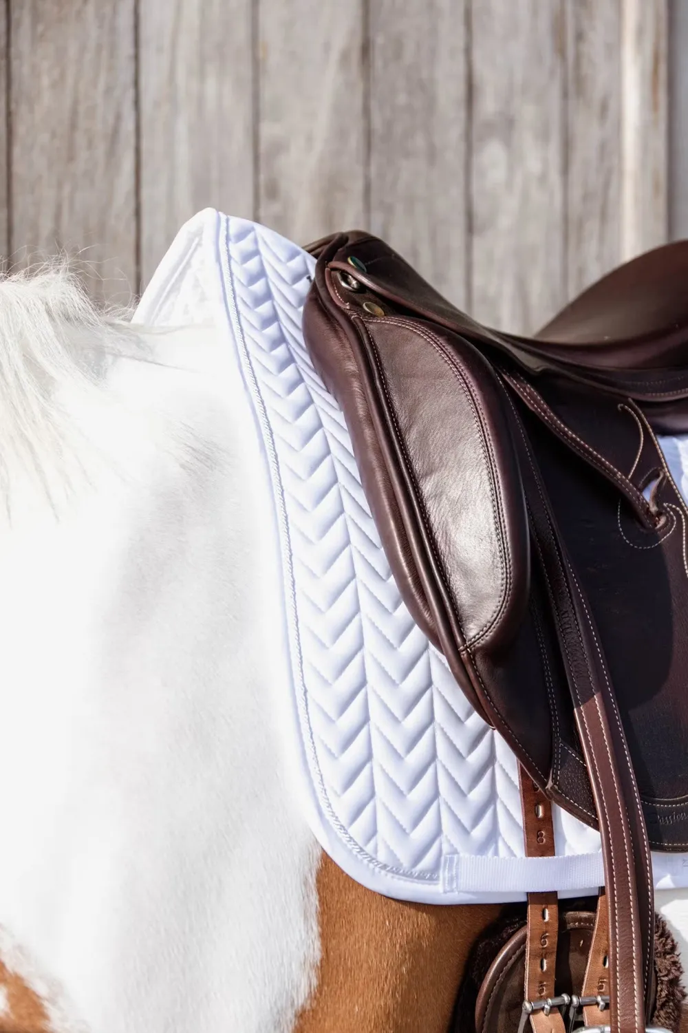 Kentucky Horsewear Schabrak & Huvor-Fiskben Tävlingsschabrak Vit