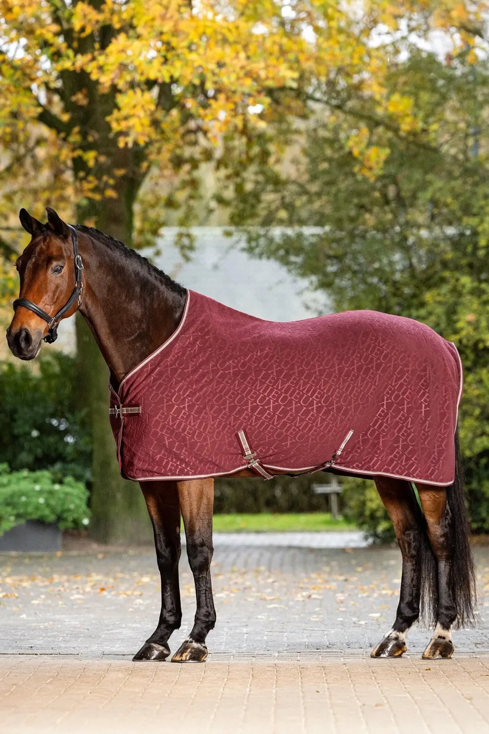 LeMieux Lemieux-Flecetäcke Monogram Arika Burgundy