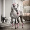 Lami-Cell Lami-Cell|Benskydd & Benlindor-Fleecebandage Venus Rosa