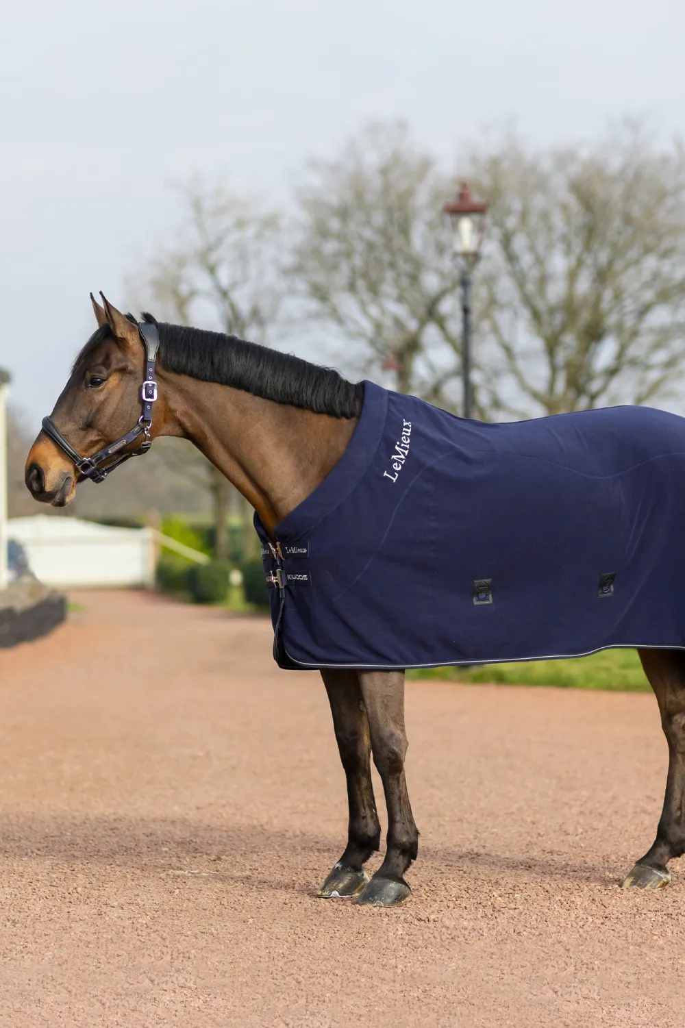 LeMieux Hästtäcken & Flughuvor|Lemieux-Fleece Coolertäcke Kudos Navy