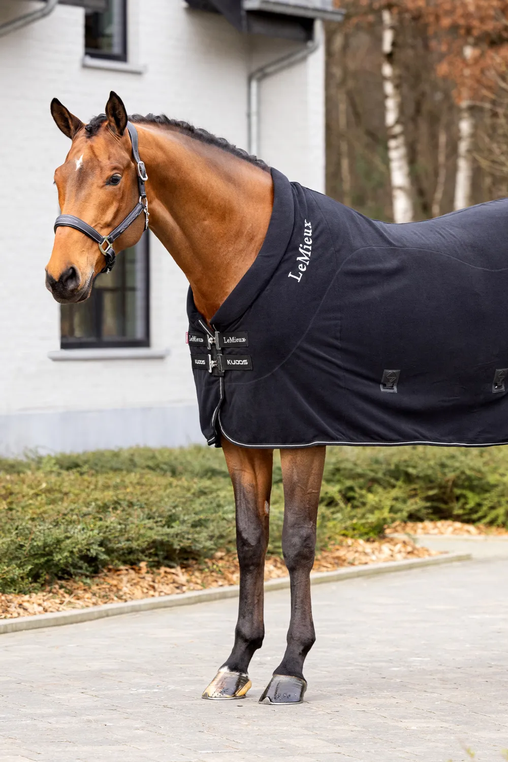 LeMieux Hästtäcken & Flughuvor|Lemieux-Fleece Coolertäcke Kudos Svart