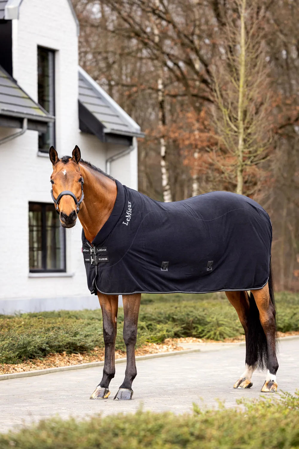 LeMieux Hästtäcken & Flughuvor|Lemieux-Fleece Coolertäcke Kudos Svart