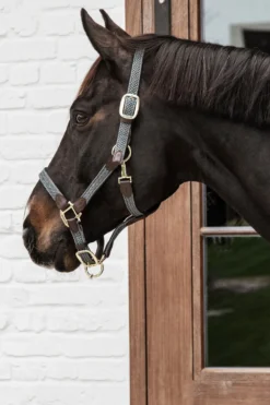 Kentucky Horsewear Grimmor & Grimskaft-Flätad Nylon Lädergrimma Grå