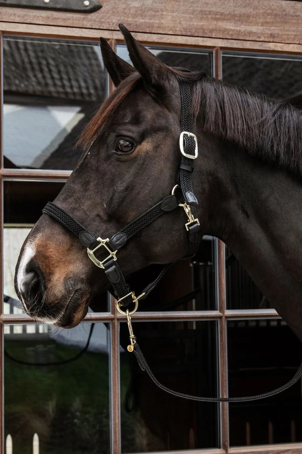 Kentucky Horsewear Kentucky Horsewear|Grimmor & Grimskaft-Flätad Nylon Lädergrimma Svart